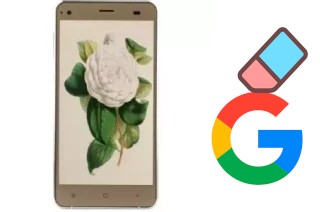 So löschen Sie ein Google-Konto auf VC Camellia II