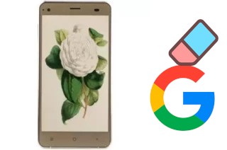 So löschen Sie ein Google-Konto auf VC Camellia