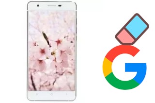 So löschen Sie ein Google-Konto auf VC Sakura