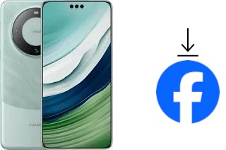 So installieren Sie Facebook auf einem Huawei Mate 60 Pro