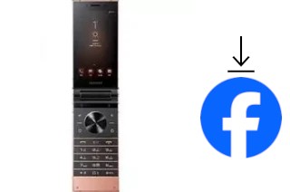 So installieren Sie Facebook auf einem Samsung W2019