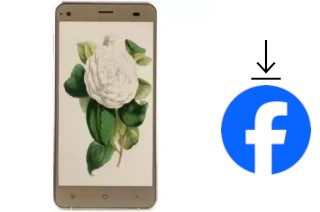 So installieren Sie Facebook auf einem VC Camellia