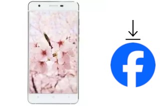 So installieren Sie Facebook auf einem VC Sakura