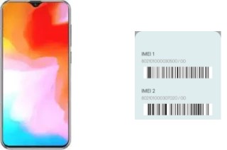 So sehen Sie den IMEI-Code in X20 Pro