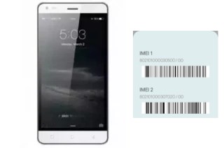 So sehen Sie den IMEI-Code in F503