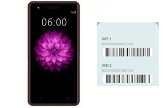 So sehen Sie den IMEI-Code in Mione N66