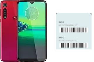 So sehen Sie den IMEI-Code in Moto G8 Play