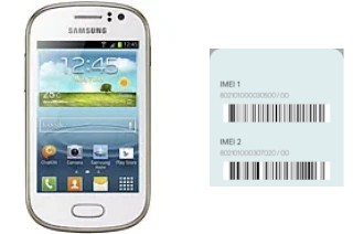 So sehen Sie den IMEI-Code in Galaxy Fame S6810