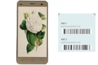 So sehen Sie den IMEI-Code in Camellia