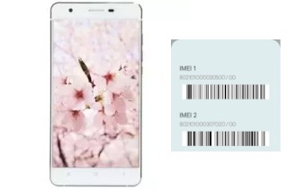 So sehen Sie den IMEI-Code in Sakura