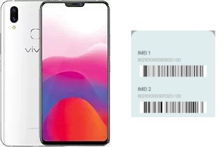 So sehen Sie den IMEI-Code in vivo X21