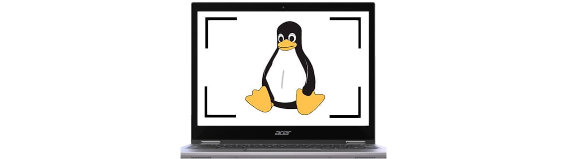 Screenshot in Linux