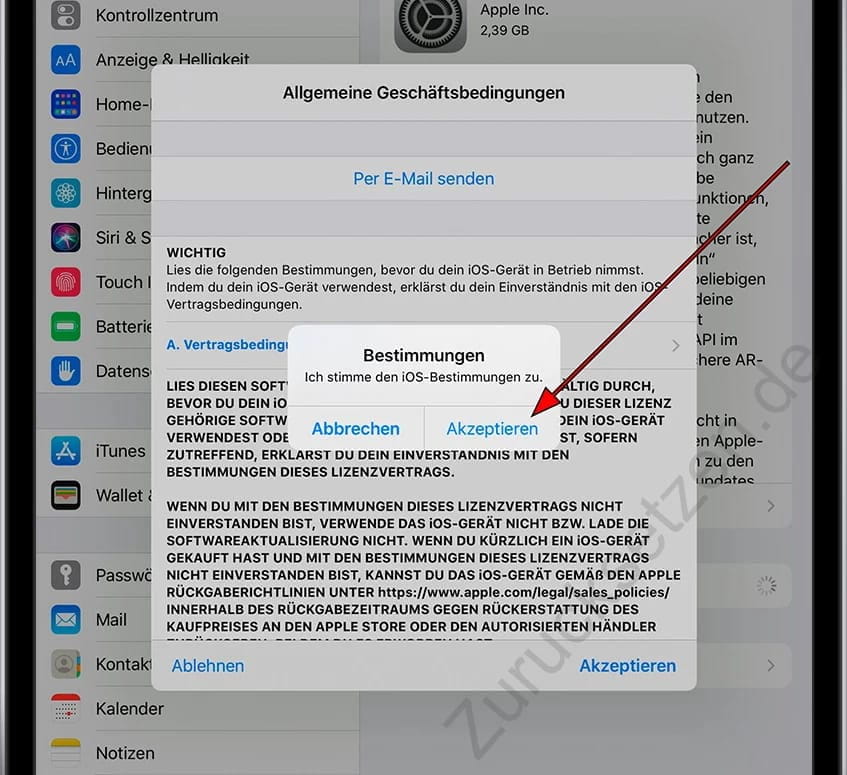 Nutzungsbedingungen akzeptieren iPad