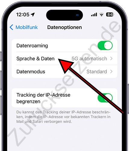 iPhone-Sprache & Daten