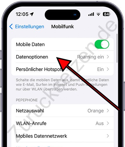 Mobile Datenoptionen für das iPhone