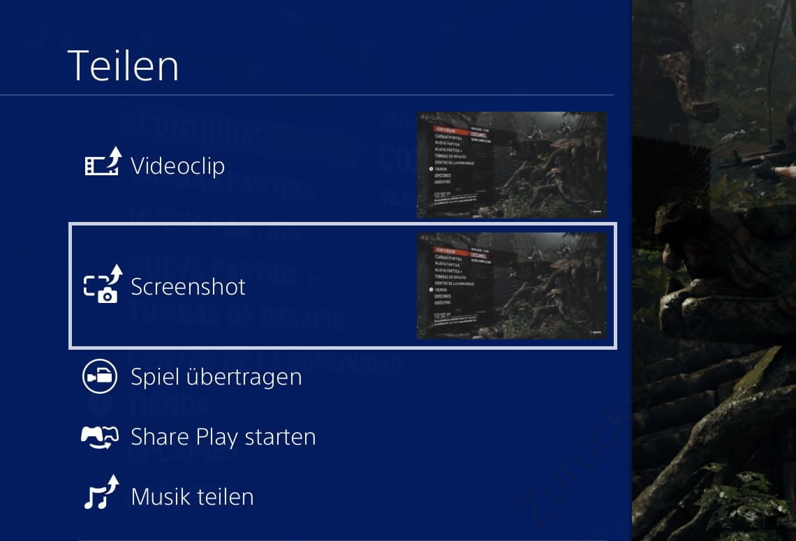 Teilen-Bildschirm auf PS4