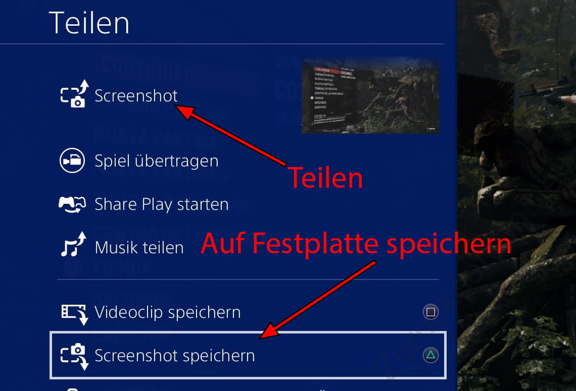 Freigabeoptionen auf PS4