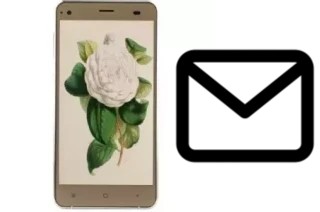 Richten Sie E-Mails auf dem VC Camellia II ein