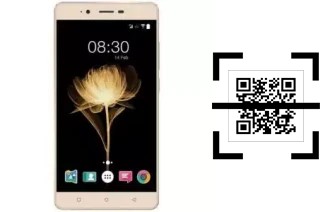 Wie lese ich QR-Codes auf einem Accent Speed X2?