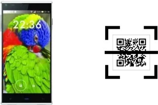 Wie lese ich QR-Codes auf einem Blackview DM550?