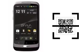 Wie lese ich QR-Codes auf einem Brava DM-990?