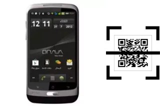 Wie lese ich QR-Codes auf einem Brava Vega DM-990?