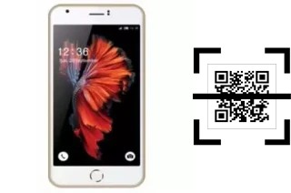 Wie lese ich QR-Codes auf einem L-Max Ester 1?