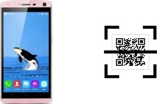 Wie lese ich QR-Codes auf einem Landvo V11?