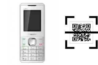 Wie lese ich QR-Codes auf einem Masstel C105I?