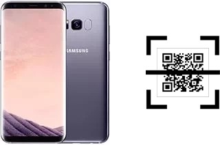 Wie lese ich QR-Codes auf einem Samsung Galaxy S8+ Exynos?