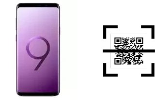 Wie lese ich QR-Codes auf einem Samsung Galaxy S9+ Exynos?