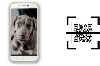 Wie lese ich QR-Codes auf einem Siswoo A6 Vanilla?