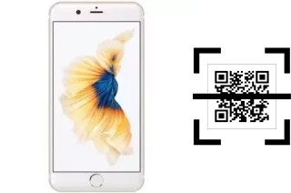 Wie lese ich QR-Codes auf einem SKG AD-574?