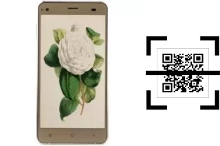 Wie lese ich QR-Codes auf einem VC Camellia?