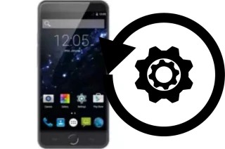 Zurücksetzen oder reset a AccessGo Gotune 5S