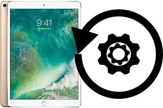 Zurücksetzen oder reset a Apple iPad Pro 10.5