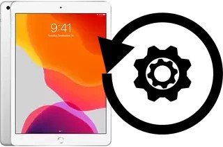 Zurücksetzen oder reset a Apple iPad 10.2