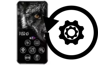 Zurücksetzen oder reset a Black Fox B3 Fox