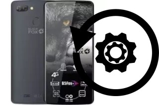 Zurücksetzen oder reset a Black Fox B5