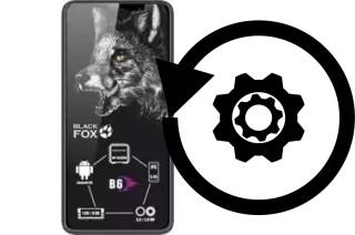 Zurücksetzen oder reset a Black Fox B6