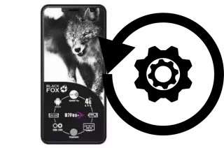 Zurücksetzen oder reset a Black Fox B7