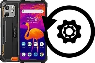 Zurücksetzen oder reset a Blackview BV8900