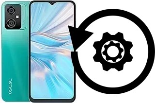 Zurücksetzen oder reset a Blackview Oscal C70