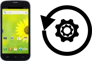 Zurücksetzen oder reset a Doogee Discovery DG500C