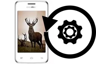 Zurücksetzen oder reset a Evertek Evertrendy II