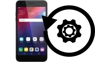 Zurücksetzen oder reset a LG Phoenix Plus