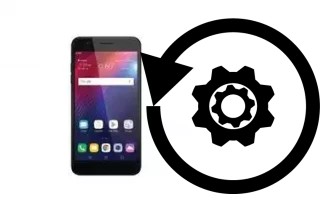 Zurücksetzen oder reset a LG Xpression Plus