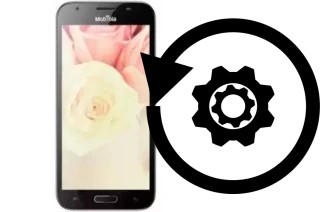 Zurücksetzen oder reset a Mobiola MS50A4000