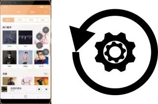 Zurücksetzen oder reset a nubia Z17S