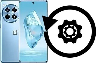 Zurücksetzen oder reset a OnePlus 12R
